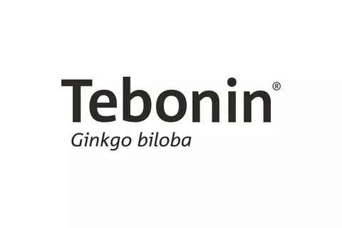 logo_prueba_tebonin
